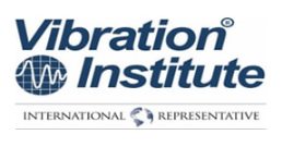 vibration institute usa